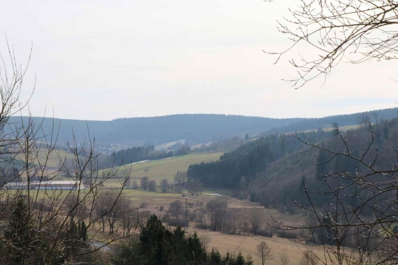 Haus Ani Winterberg Exterior foto